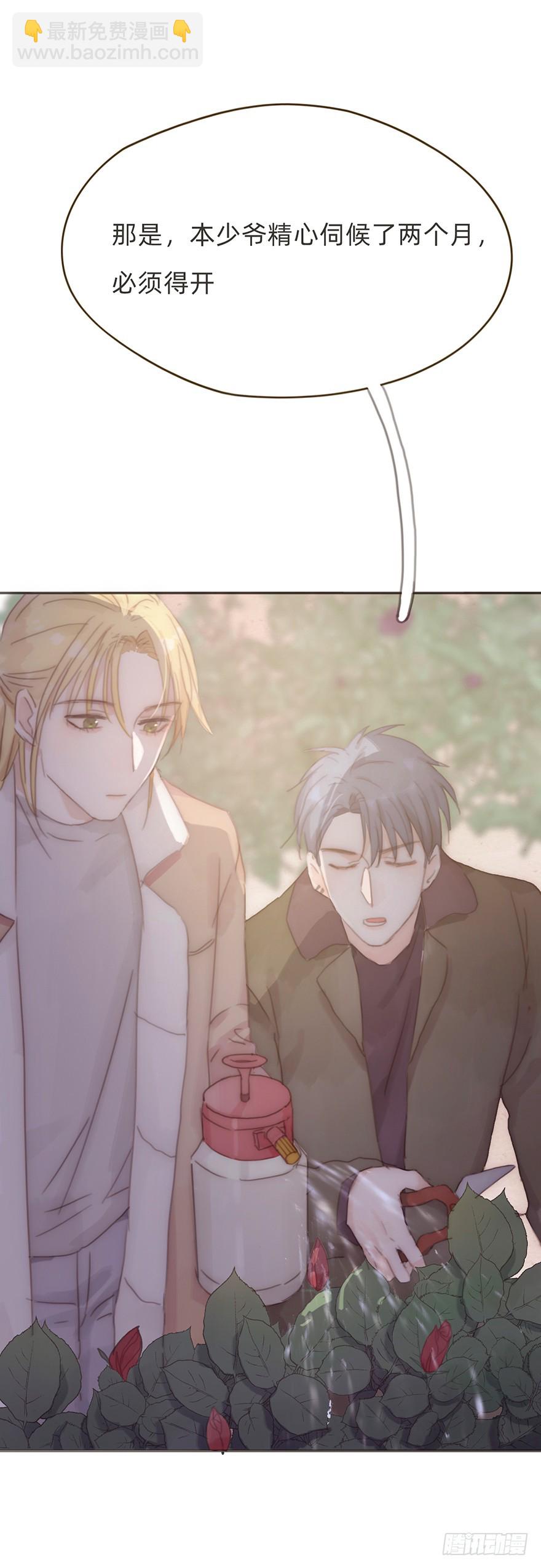 我的美人（十五）(1/2)-第32话