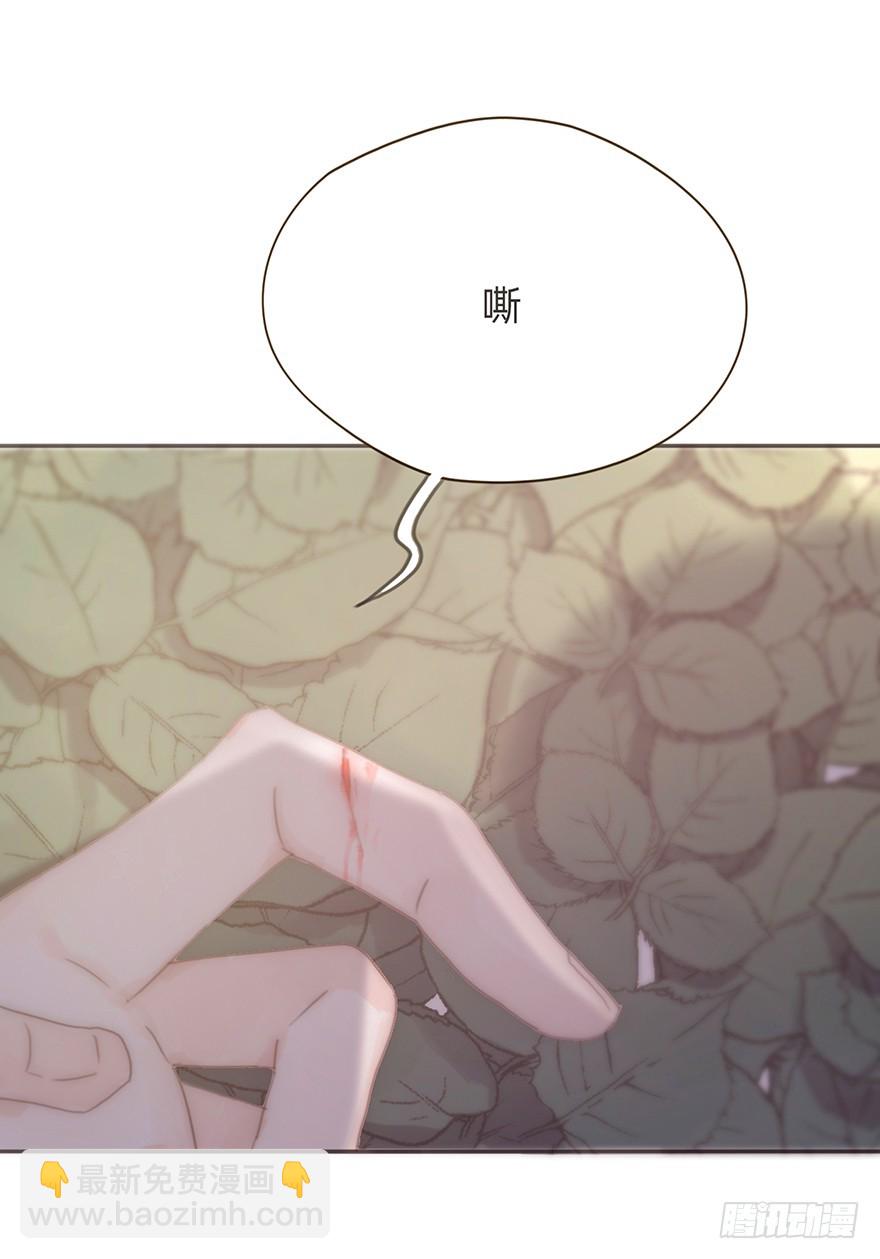 我的美人（十五）(1/2)-第32话