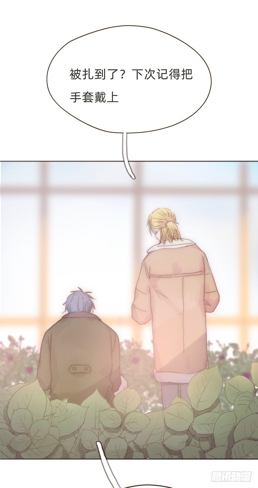 我的美人（十五）(1/2)-第32话