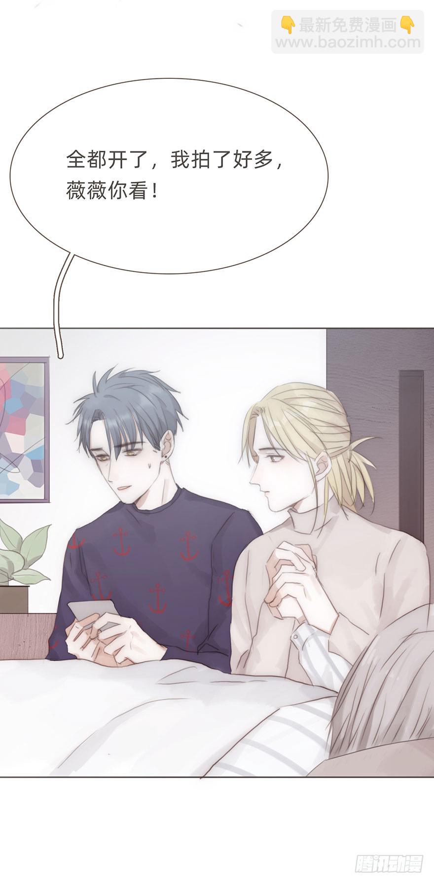 我的美人（十九）(1/2)-第36话