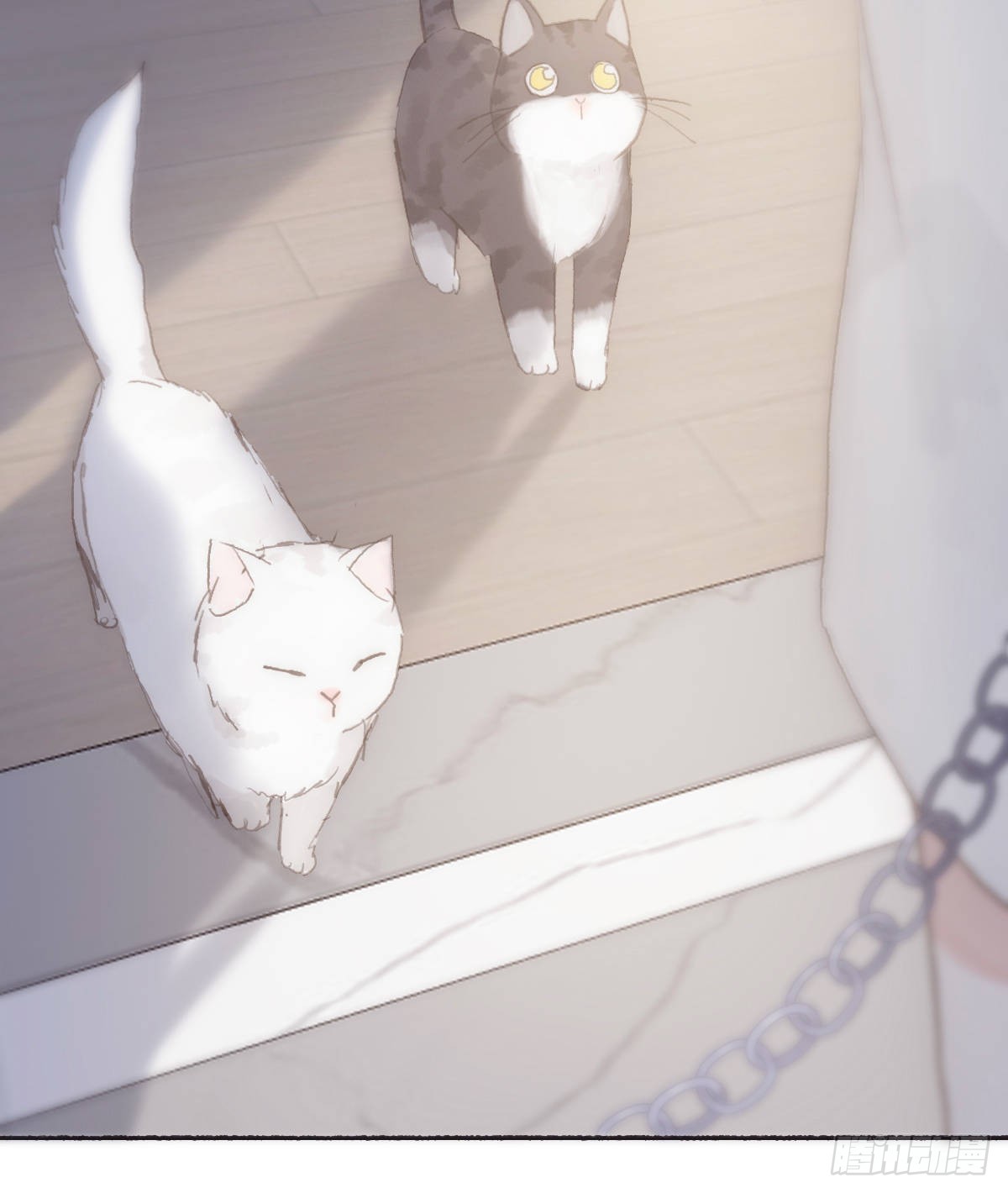 蜜糖陷阱（十六）(1/2)-第48话