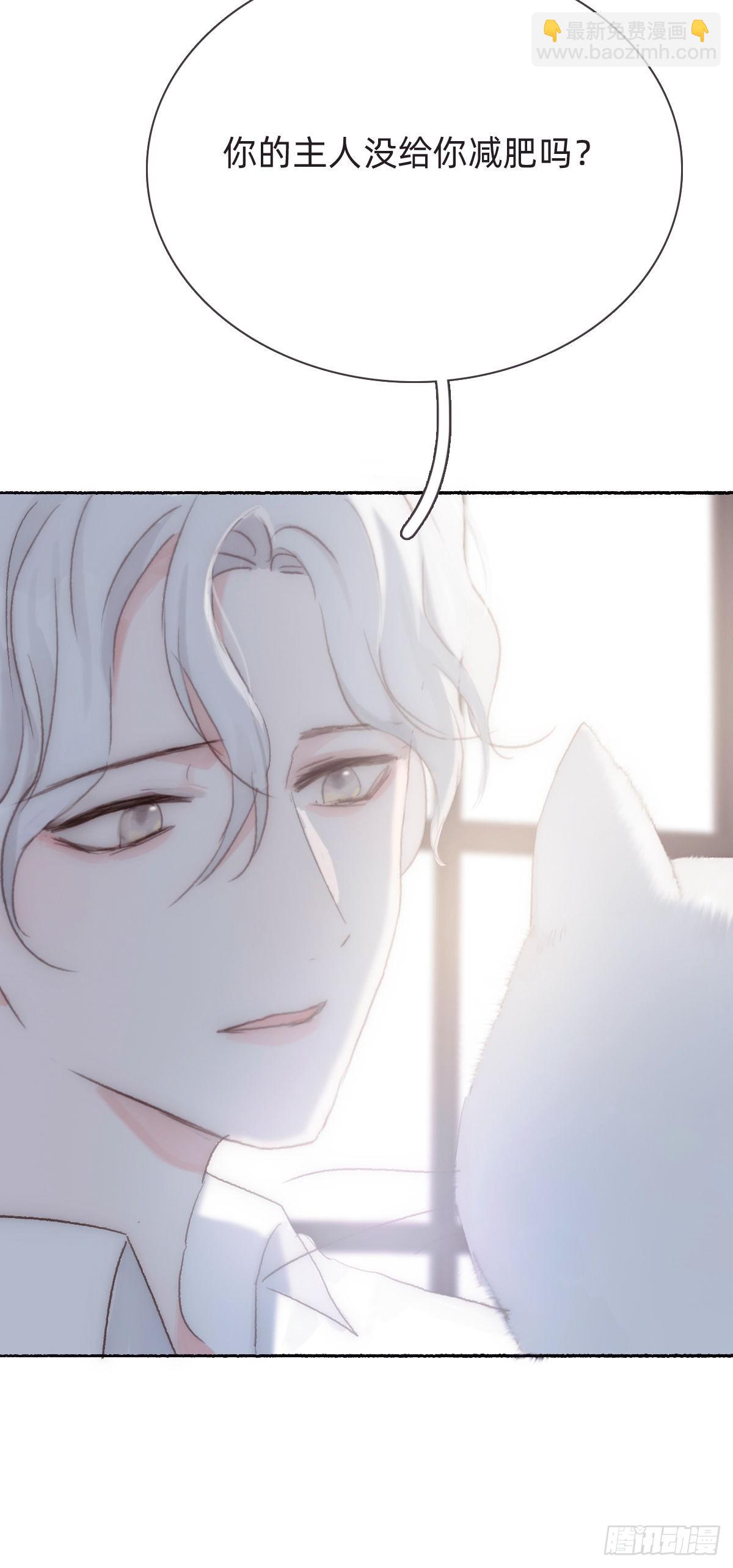 蜜糖陷阱（十六）(1/2)-第48话