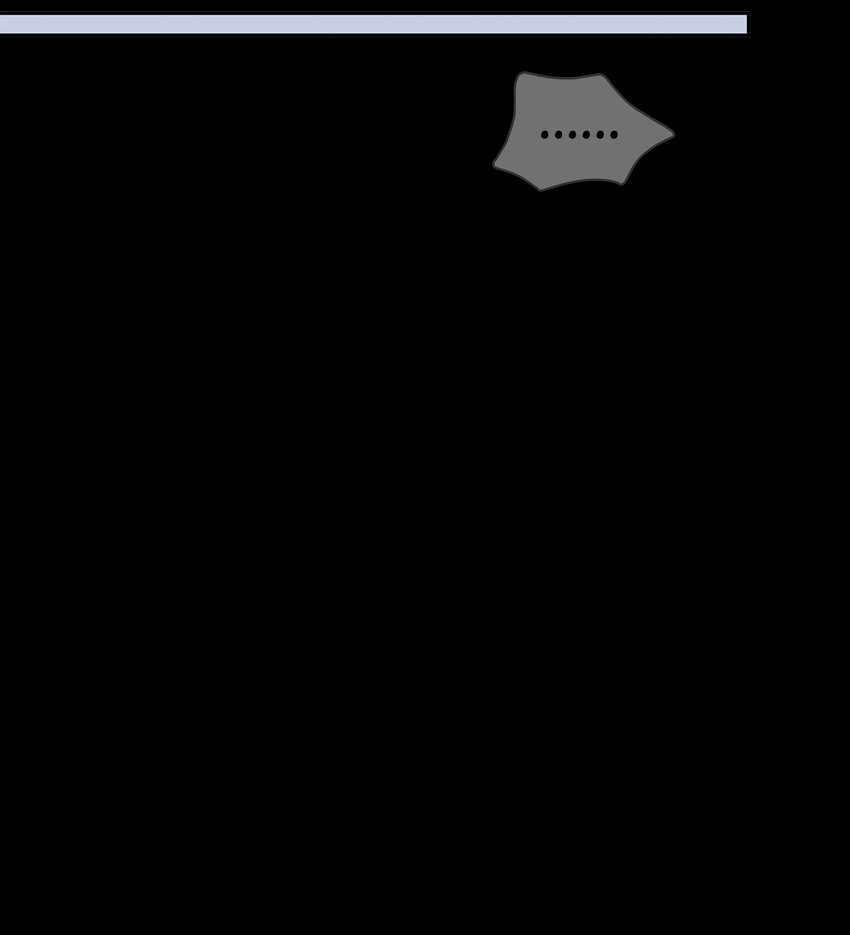 69 愿望(1/2)-第70话