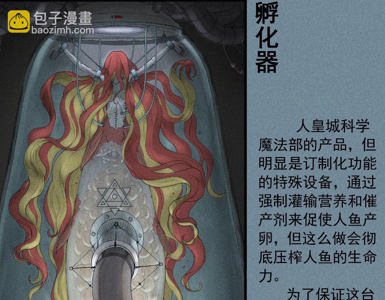 设定回(1/2)-第40话