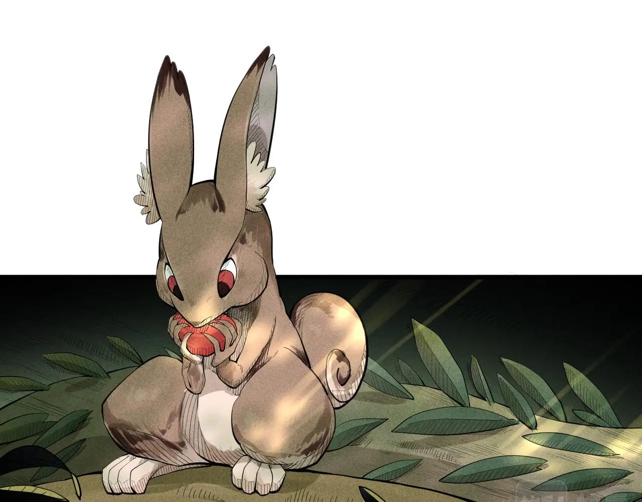 第41话 森林的下马威(1/2)-第44话