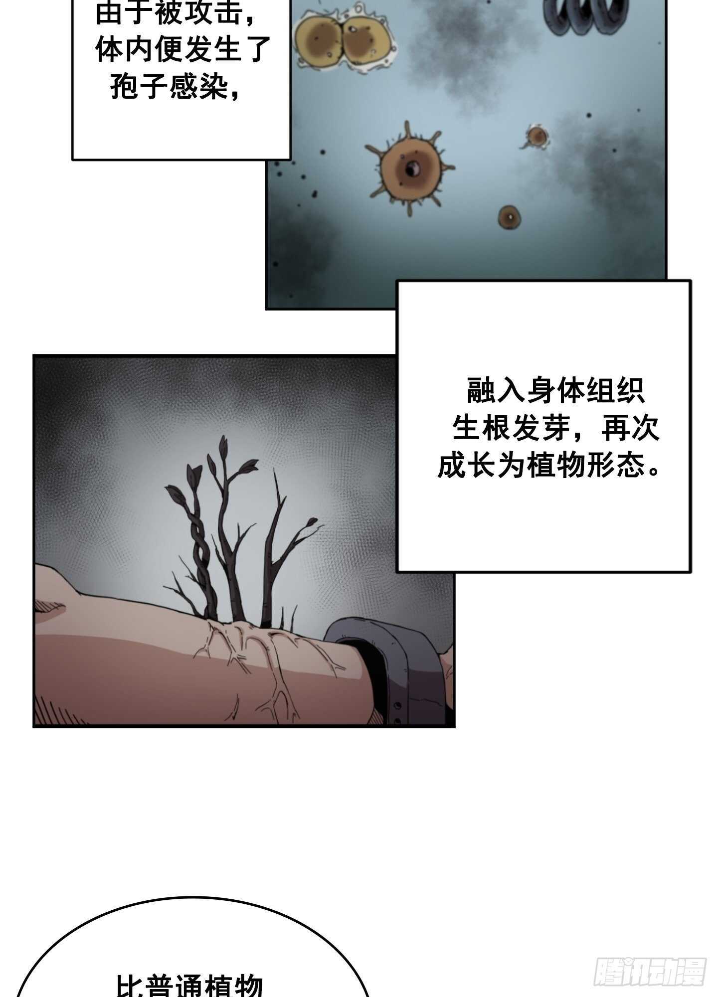 第11话(1/2)-第12话