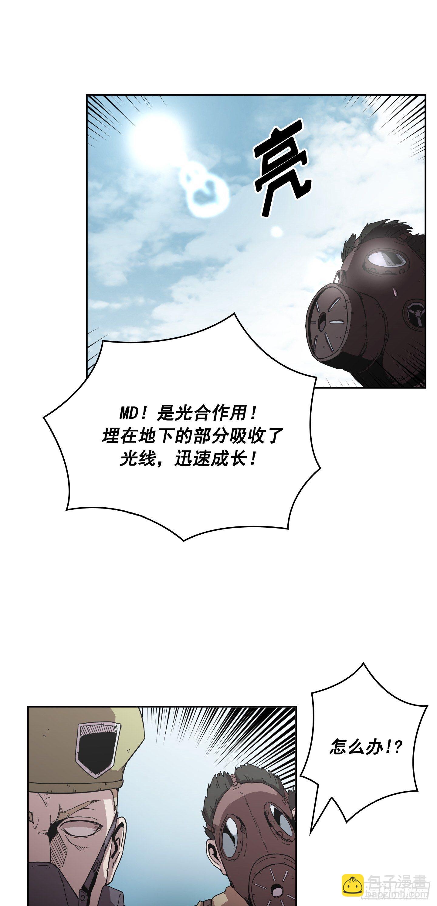 第5话(1/2)-第6话