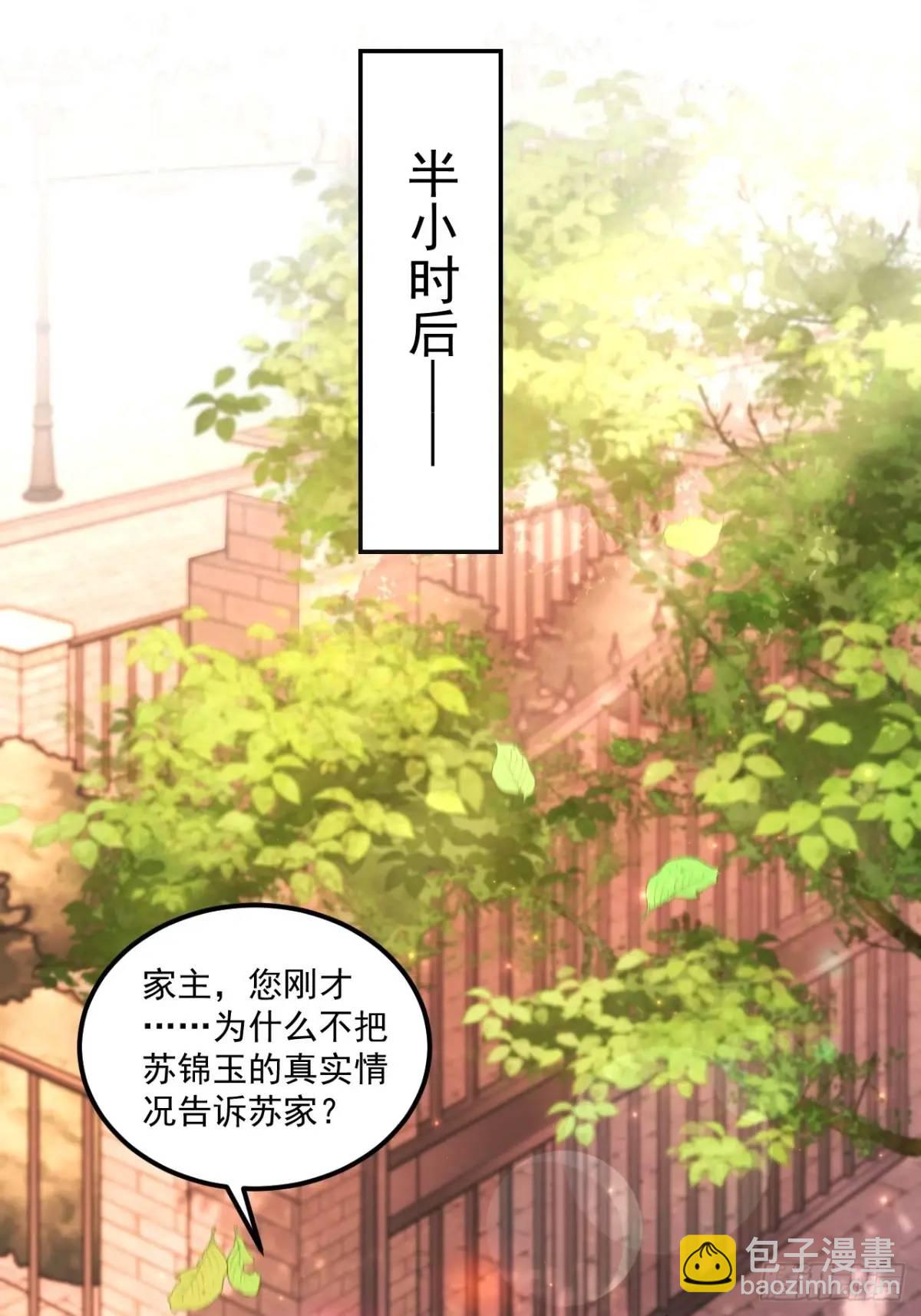 43  沐归凡的拜访-第44话