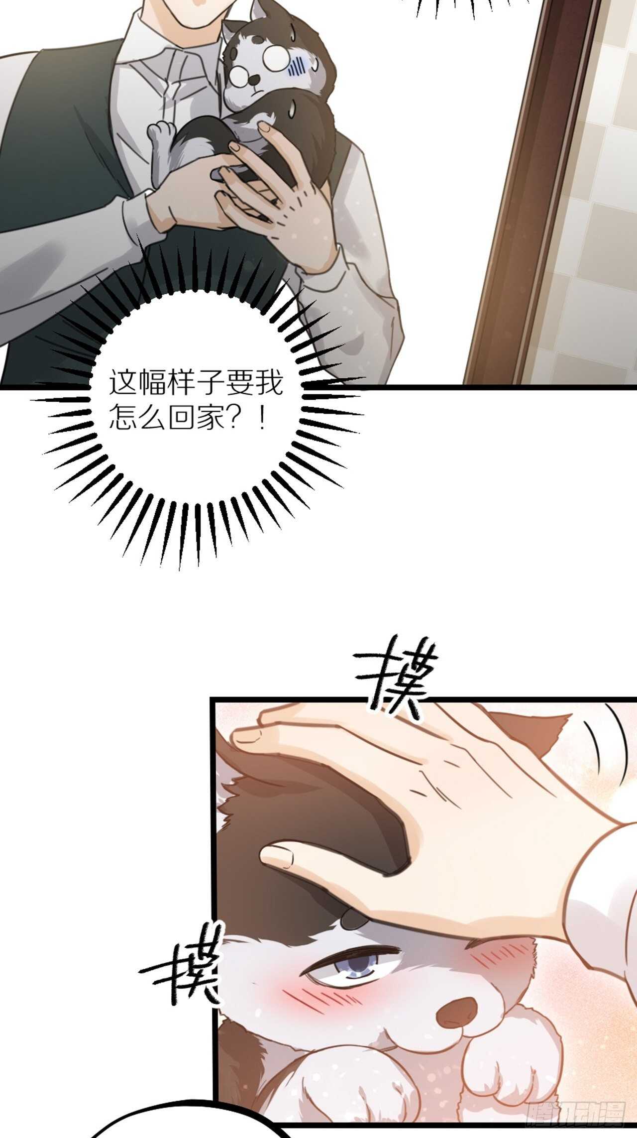 第41话 狼狈-第44话