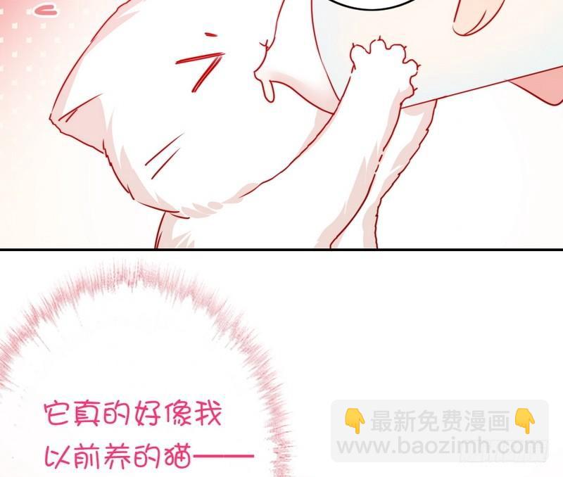 第15话 珍惜-第16话