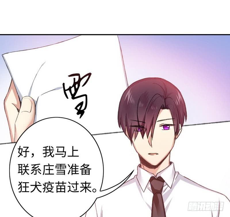 第59话 鉴定书-第62话