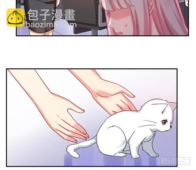 第59话 鉴定书-第62话