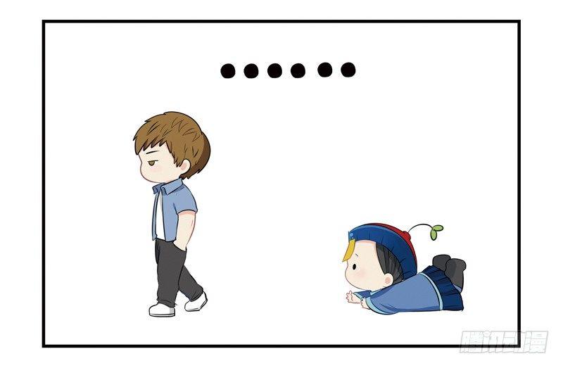 神秘老虎精登场！-第14话