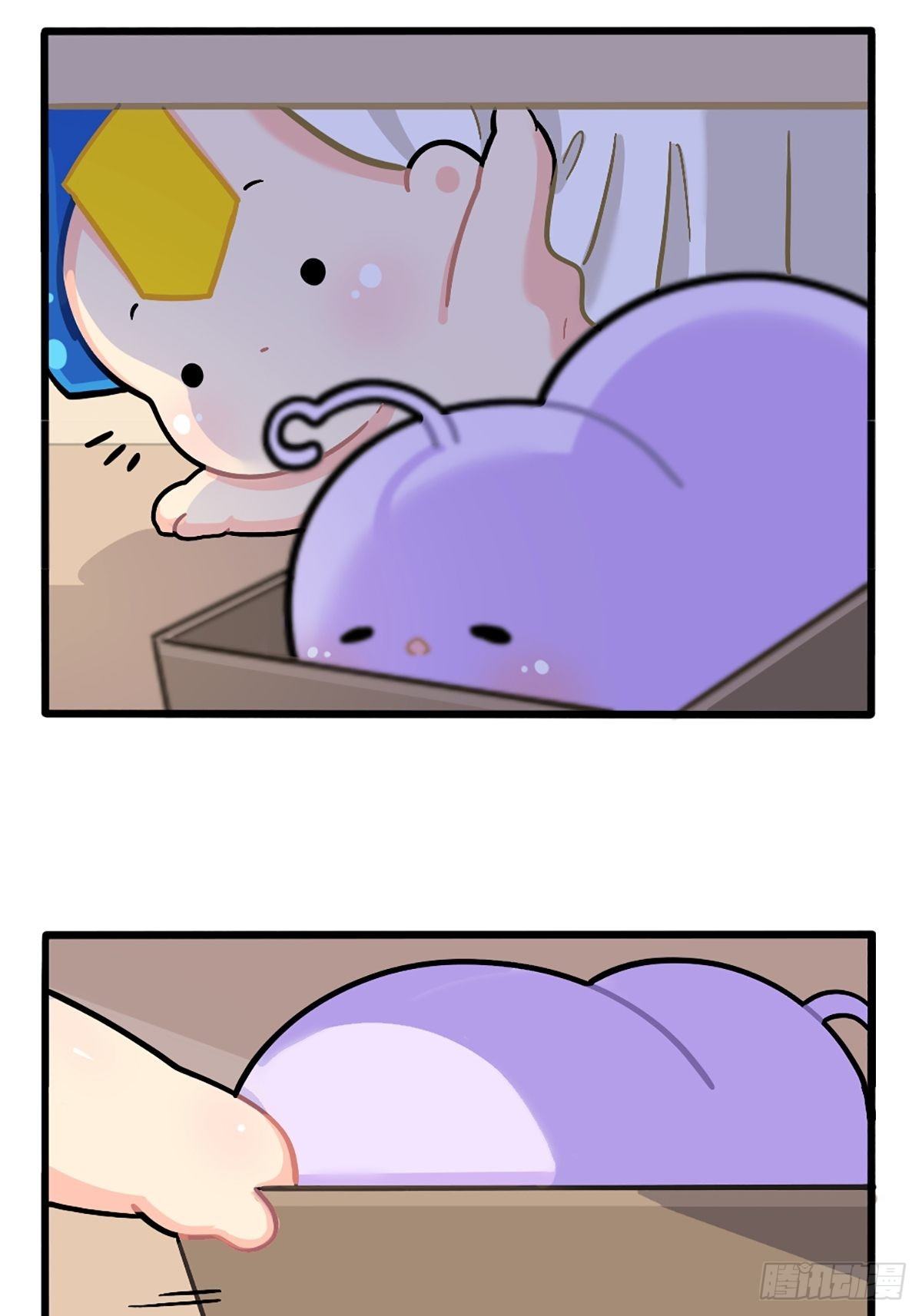 番外：小可乐的照片-第156话