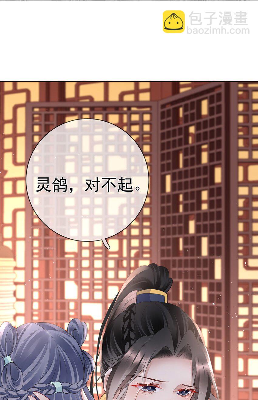 022 第二十二话 灵鸽的心事-第22话