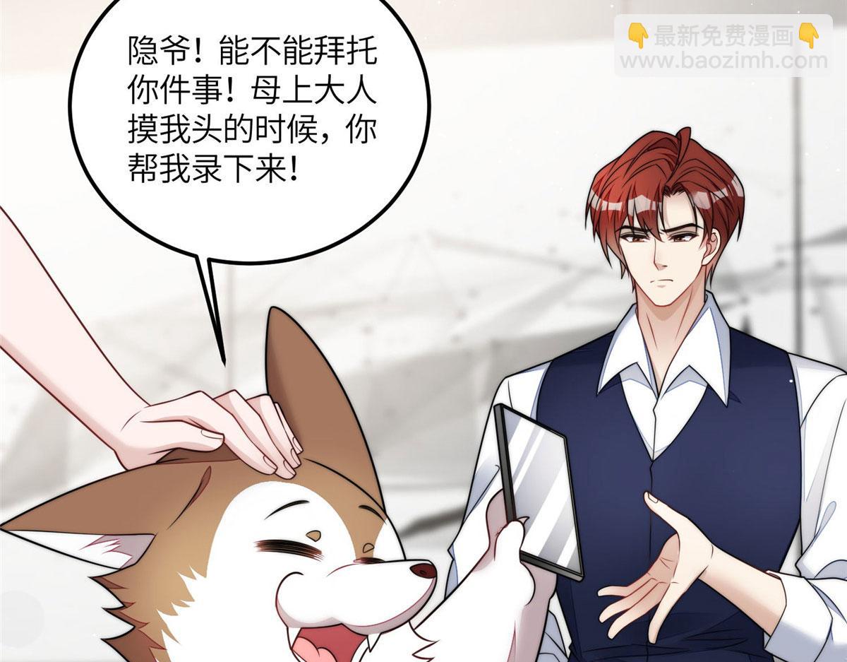 夫人她成了大佬們的團寵（團寵） - 75 拍賣會開始(1/3) - 5