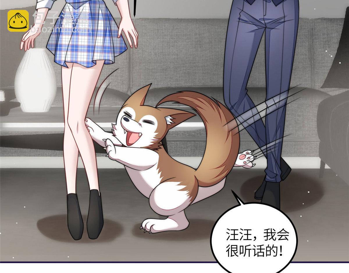 夫人她成了大佬們的團寵（團寵） - 75 拍賣會開始(1/3) - 8