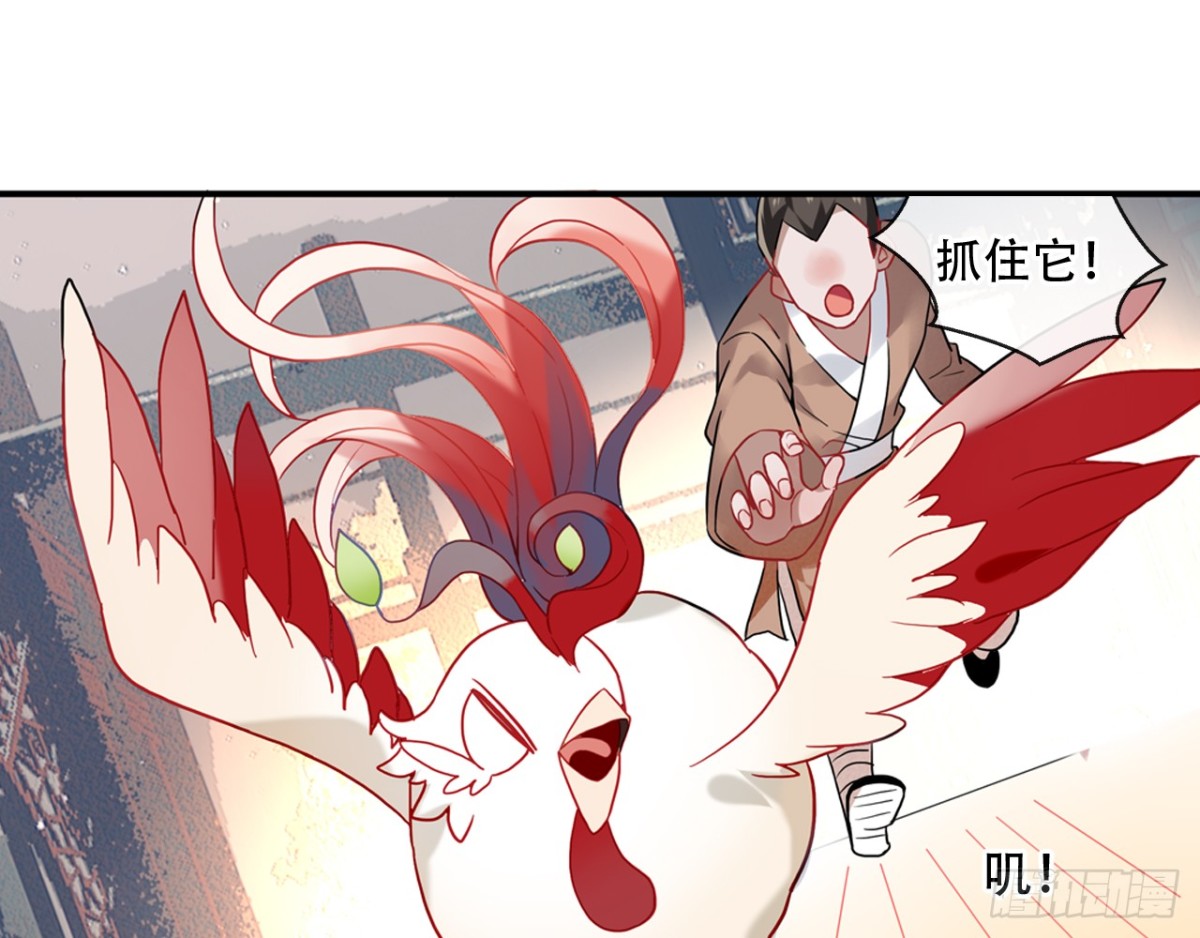 闻鸡起舞（二）-第84话