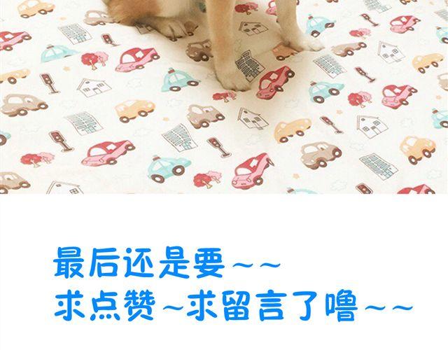 第2话 钢管舞头牌的魅力-第2话