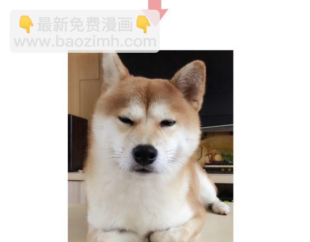 第10话 想要被你注意的那种心情-第10话