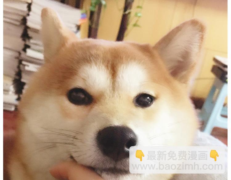 第6话 为什么要浪费自己这么好的条件-第6话