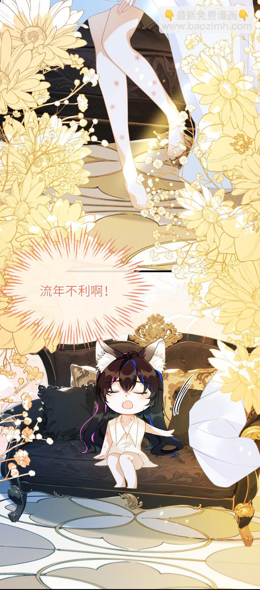 03 这只狐狸好狡猾(1/2)-第4话