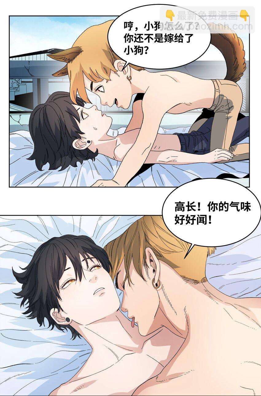 039 大黄的逆袭-第42话