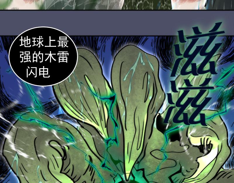 高等靈魂 - 第322話 最強木雷(2/3) - 1