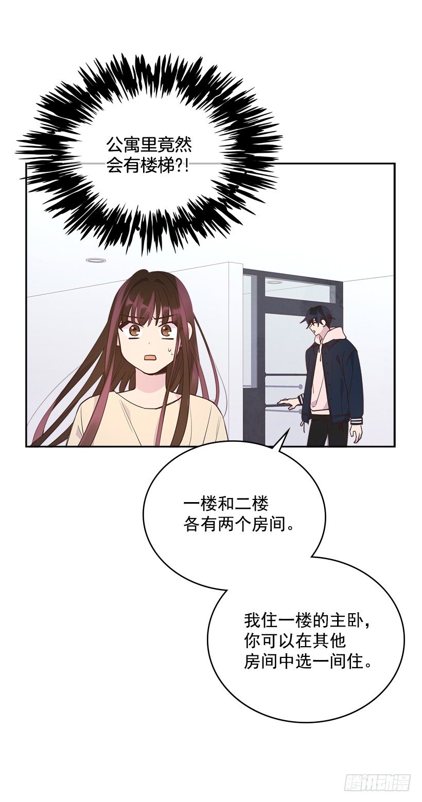 19.搬家啦！(1/2)-第20话