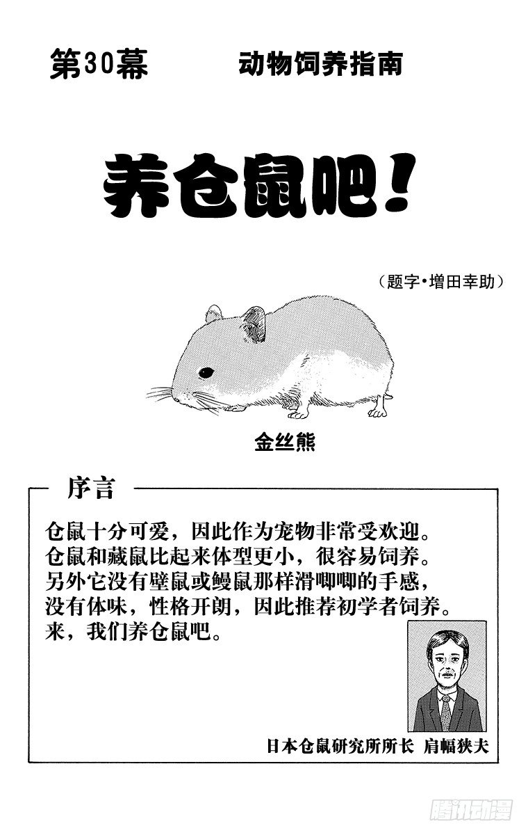 第30幕 动物饲养指南 养仓鼠吧-第30话