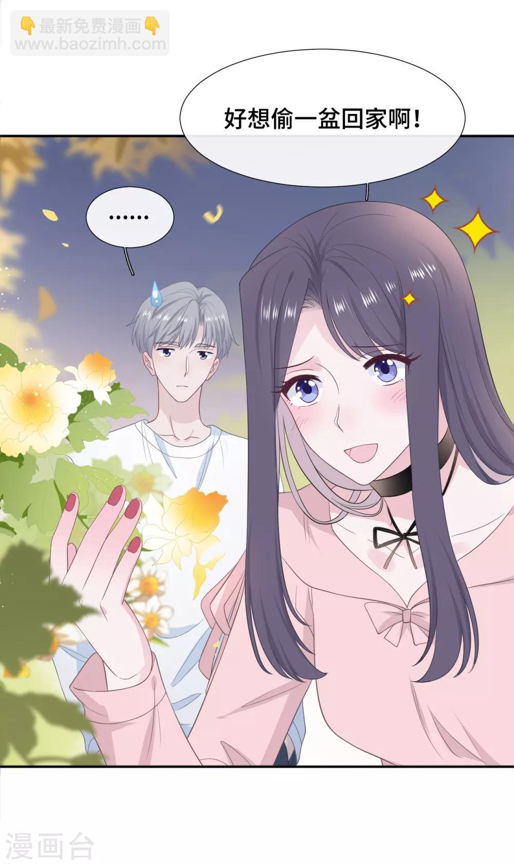 第25话 树袋熊拥抱-第42话