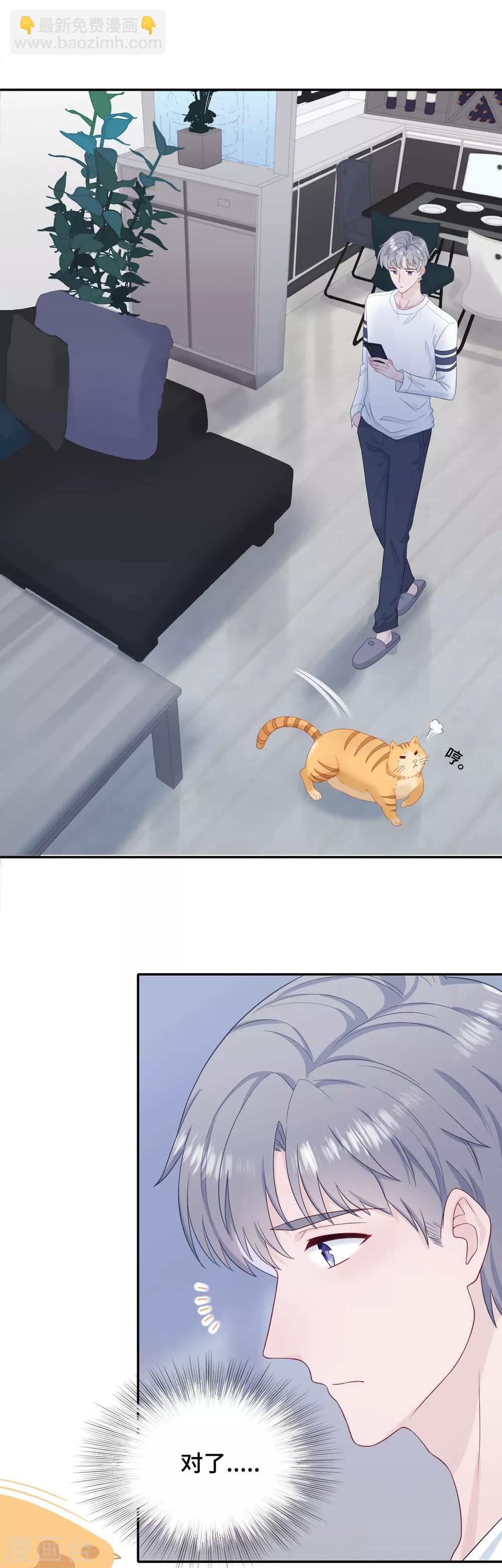 第25话 树袋熊拥抱-第42话