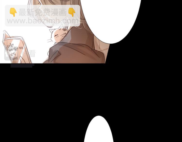 哥哥~請你收養喵 - 第1話 小巷裡的兩人(1/3) - 3