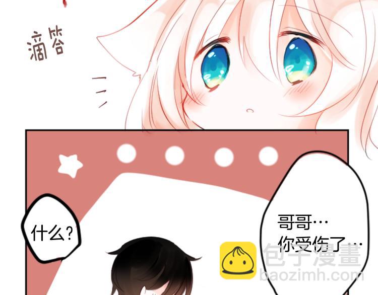 哥哥~請你收養喵 - 第1話 小巷裡的兩人(2/3) - 1