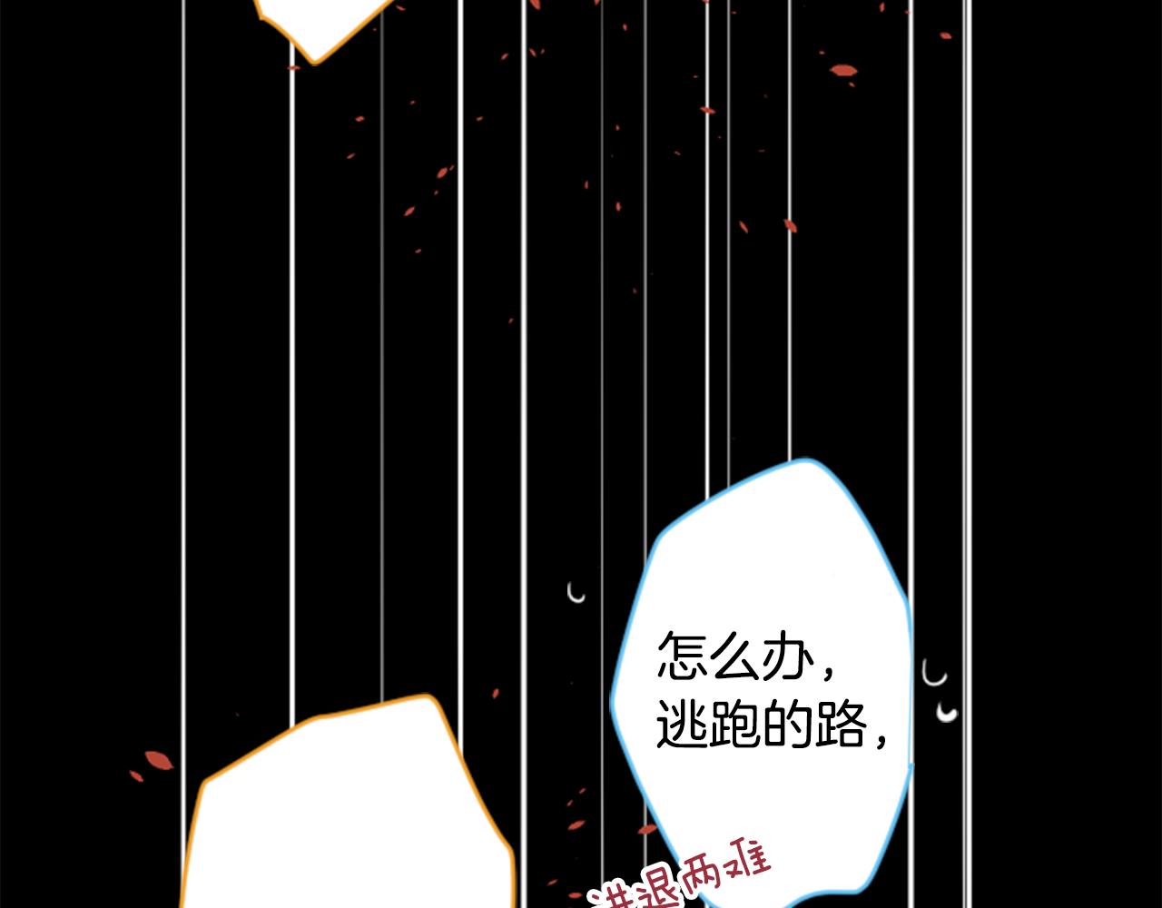 哥哥~請你收養喵 - 第101話 夜晚是短暫的秘密時間4(2/3) - 8