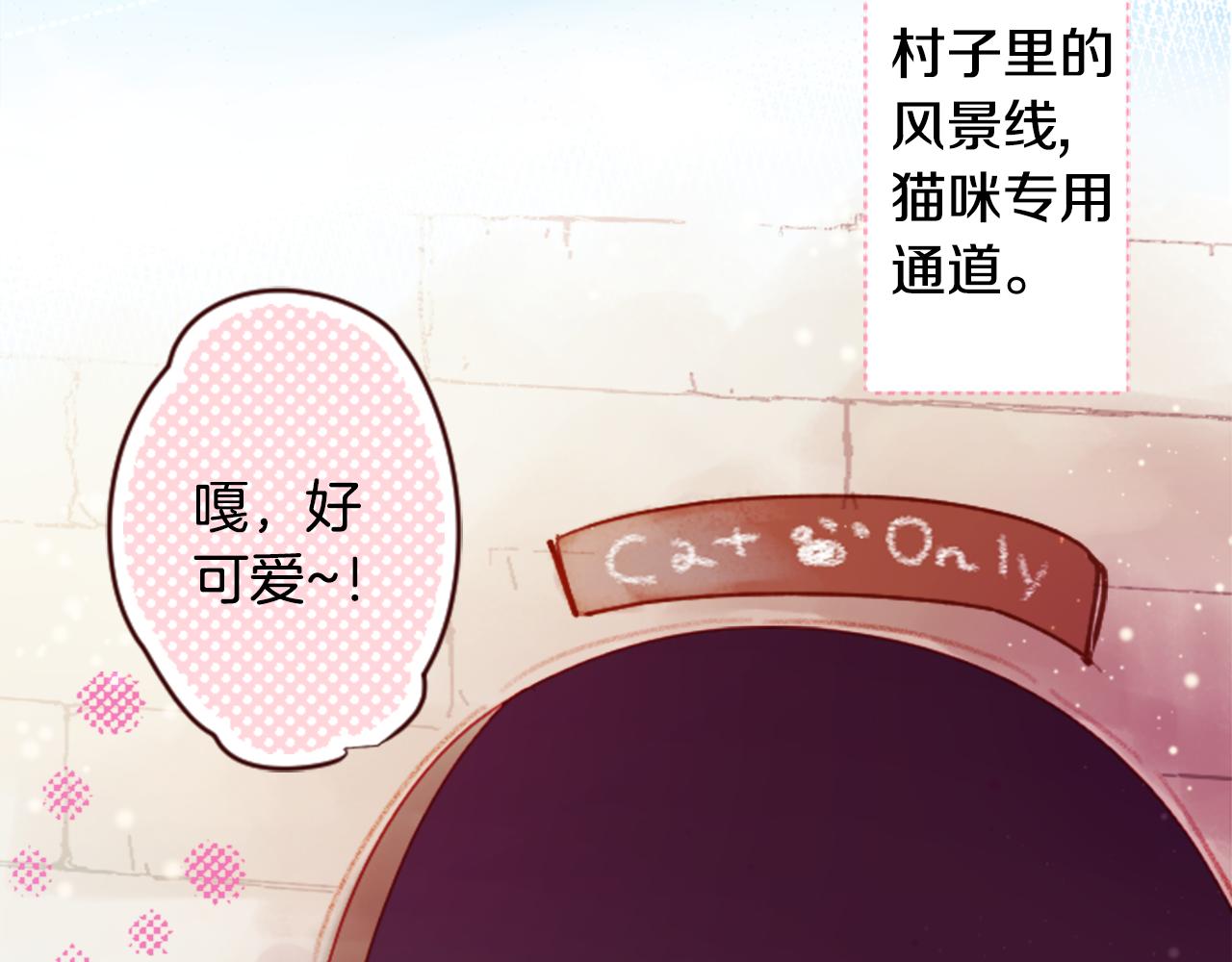 哥哥~請你收養喵 - 第103話 小巷的兩個人(1/3) - 5