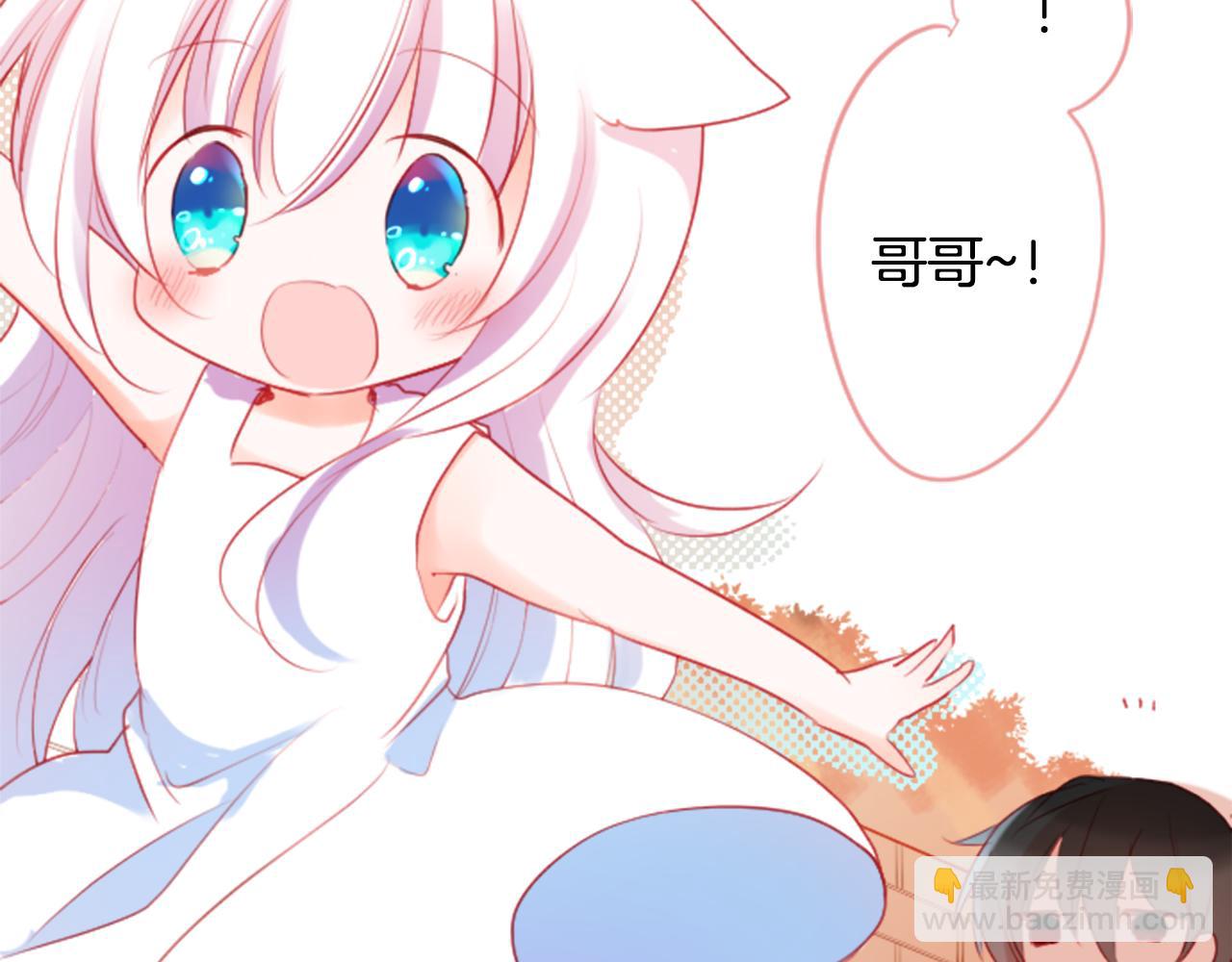 哥哥~請你收養喵 - 第135話 星星的巡禮阿斯特洛拉貝(2/2) - 5