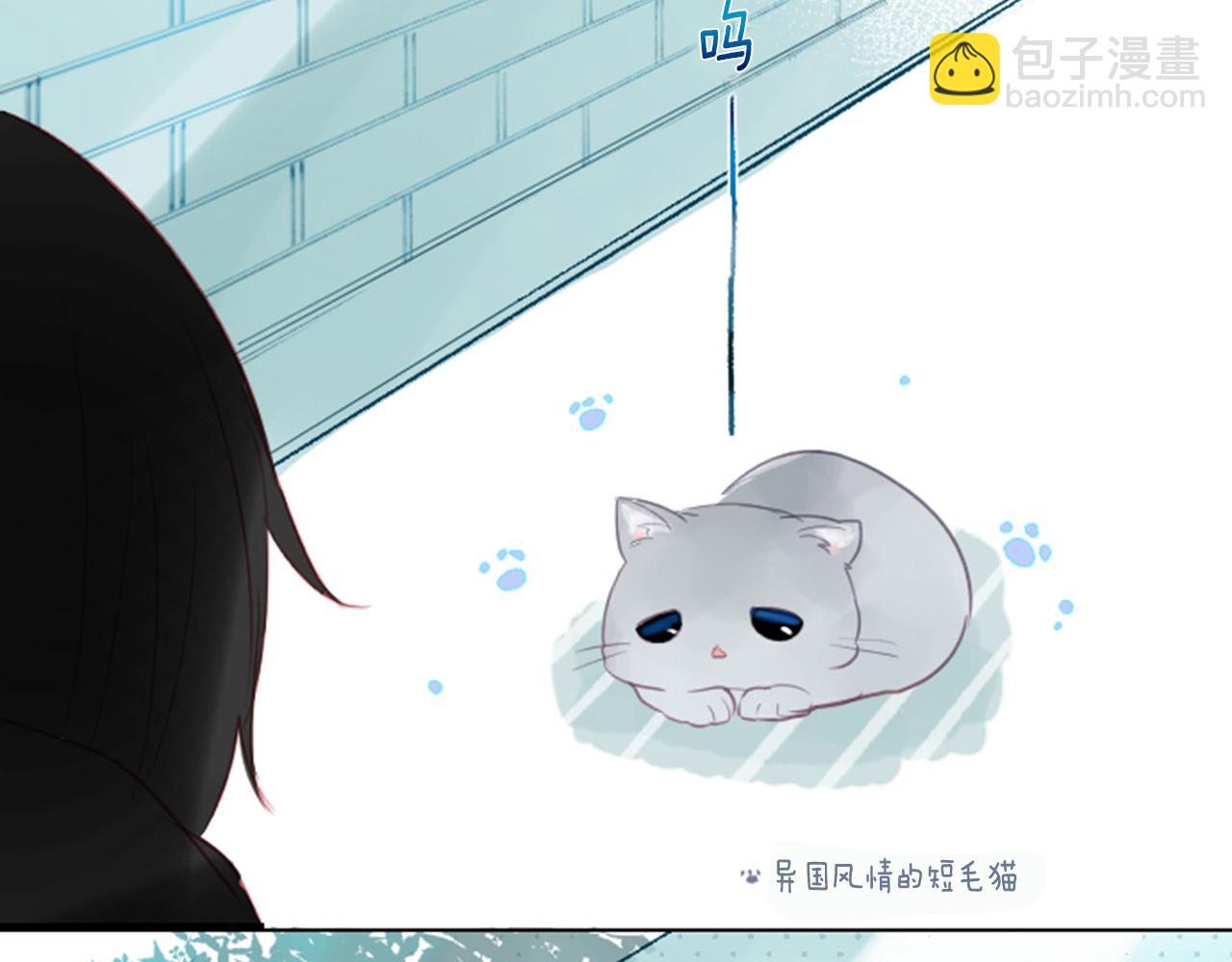 哥哥~請你收養喵 - 第21話 開幕信號(3/3) - 1