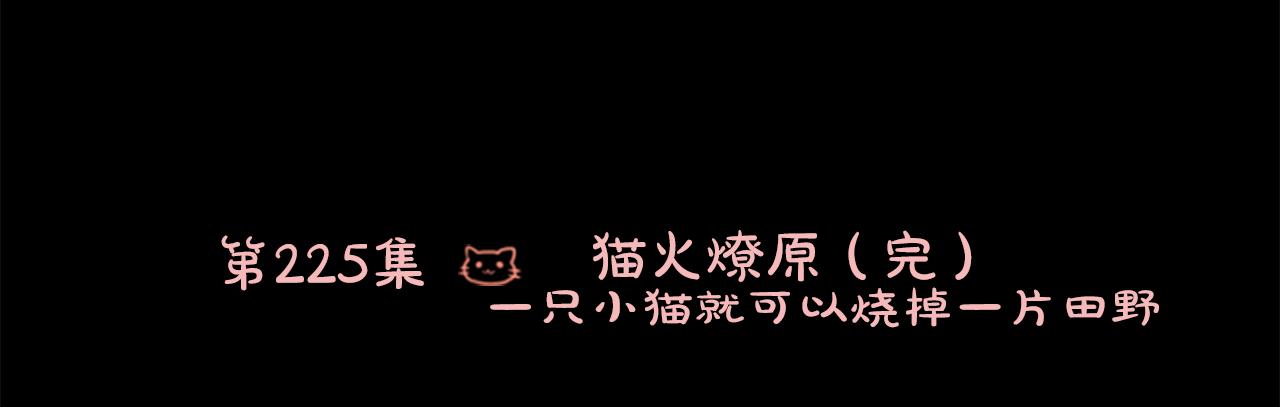 哥哥~請你收養喵 - 第225話 貓火燎原（完）(1/2) - 6