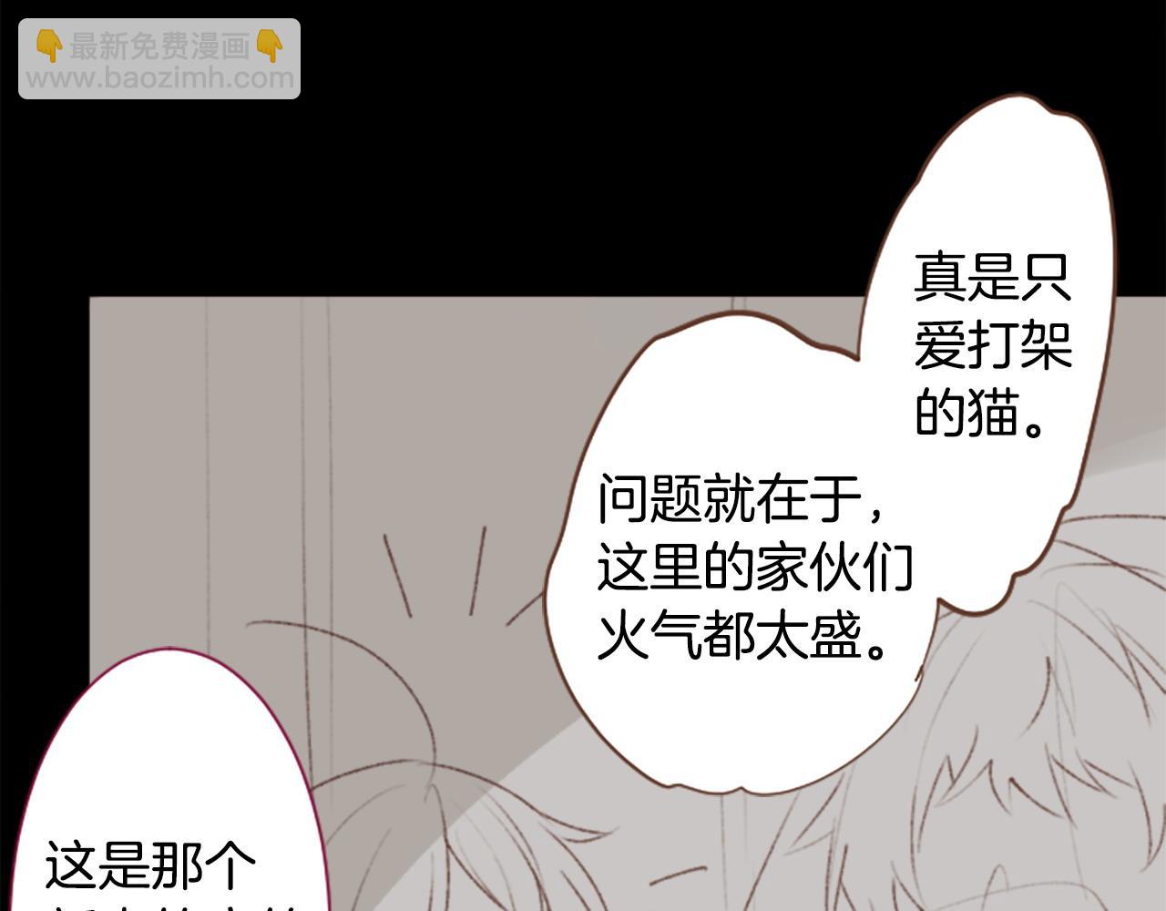 哥哥~請你收養喵 - 第263話 離別的Aqua Grey(1/2) - 7