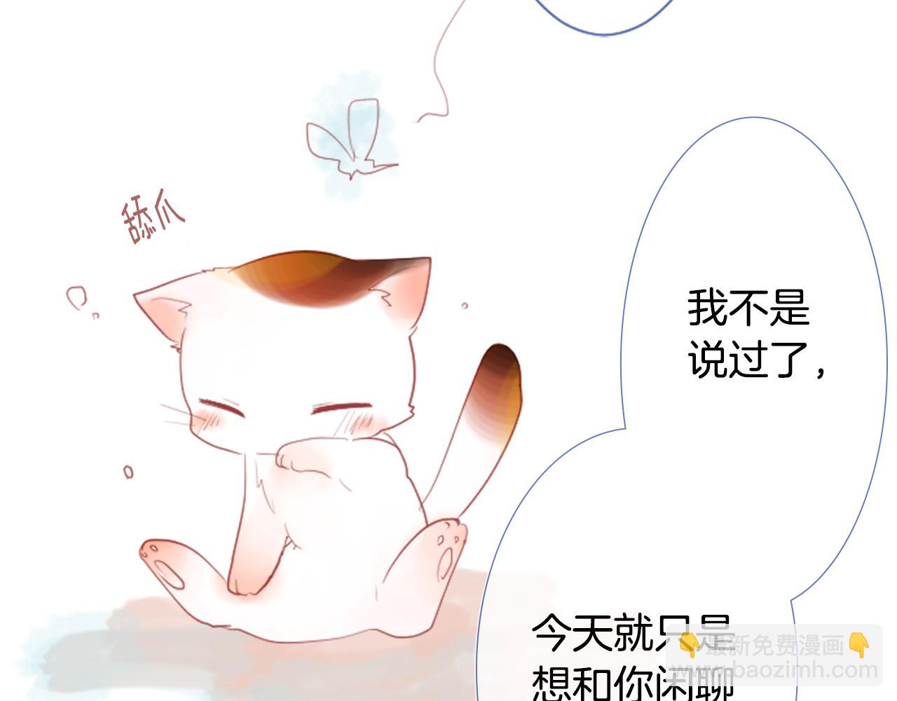 哥哥~請你收養喵 - 第27話 噴涌而出的星星糖子彈(2/3) - 8