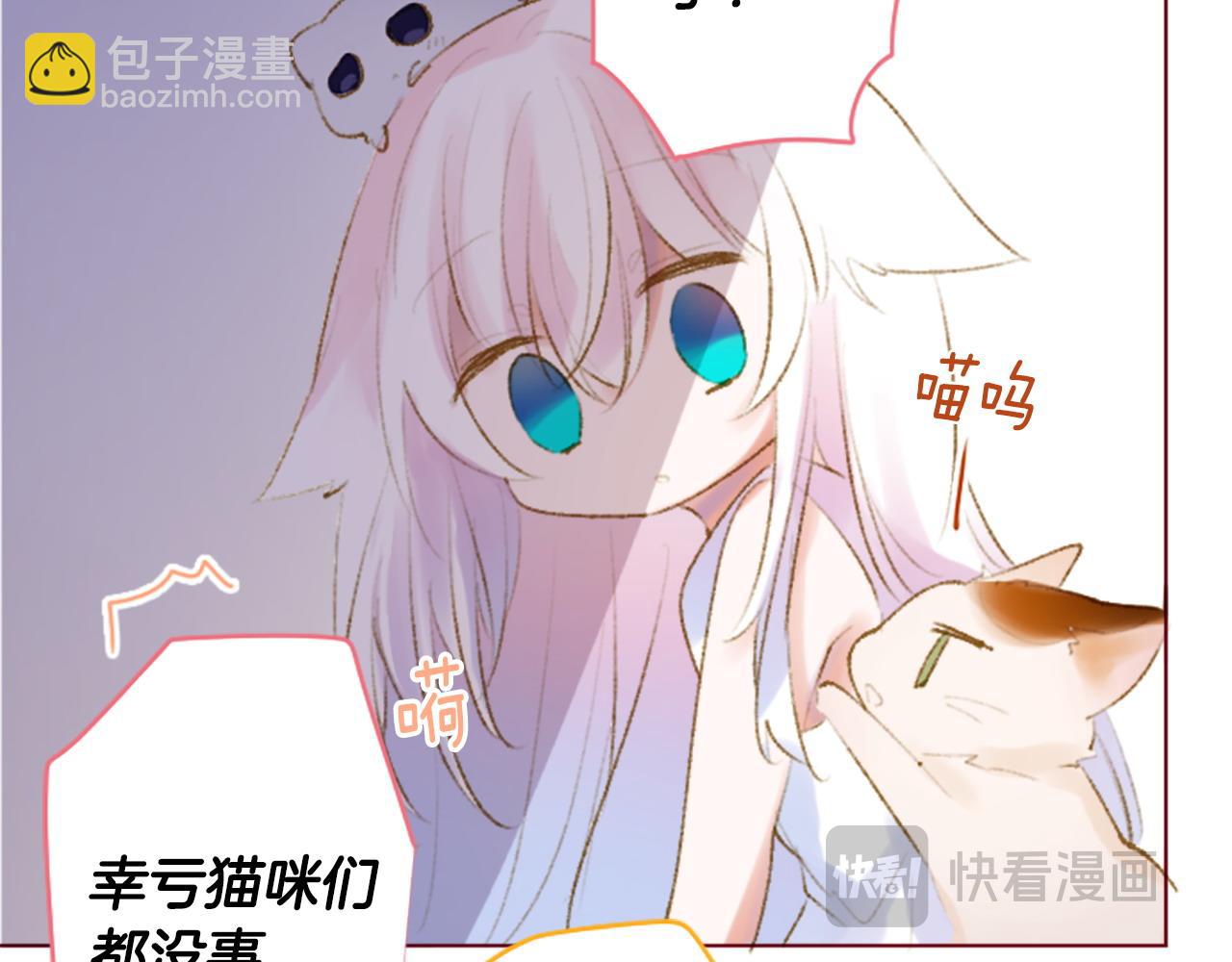 哥哥~請你收養喵 - 第269話 怎樣才能保護 - 8