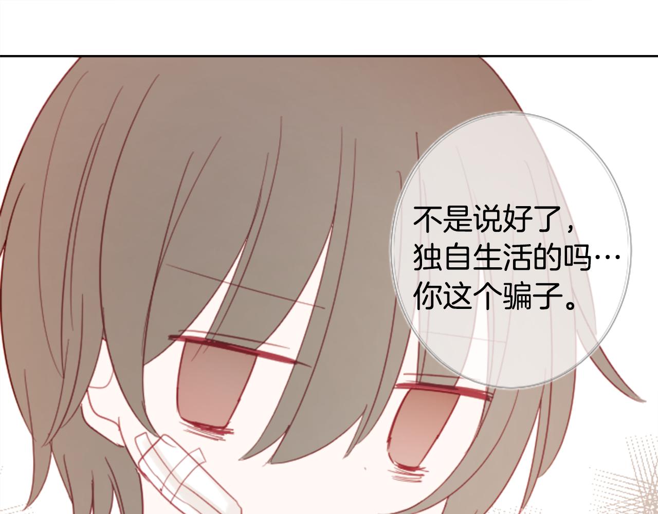 哥哥~請你收養喵 - 第79話 上午9點的神秘箱子2(1/2) - 2