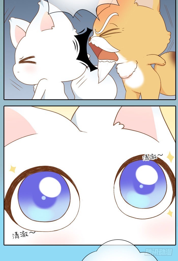 小狐狸的入世符-第62话