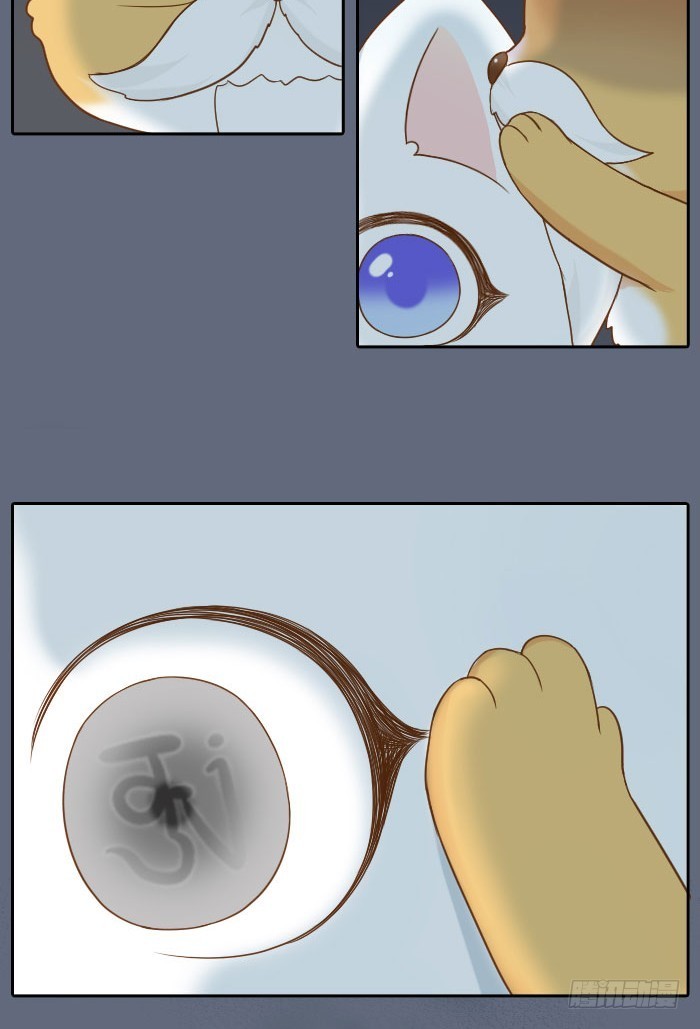 小狐狸的入世符-第62话