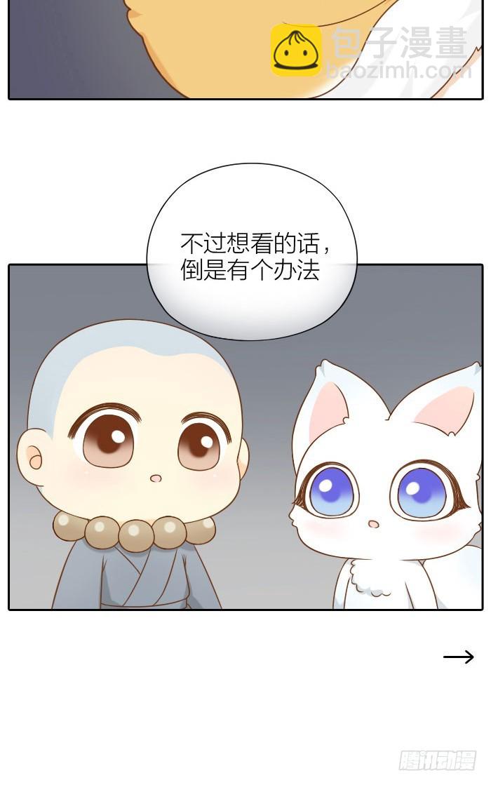 小狐狸的入世符-第62话