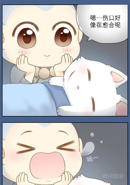 小狐狸身负重伤！-第8话