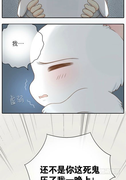 小狐狸身负重伤！-第8话