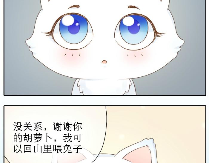 第2话 谁说狐狸不吃胡萝卜-第2话