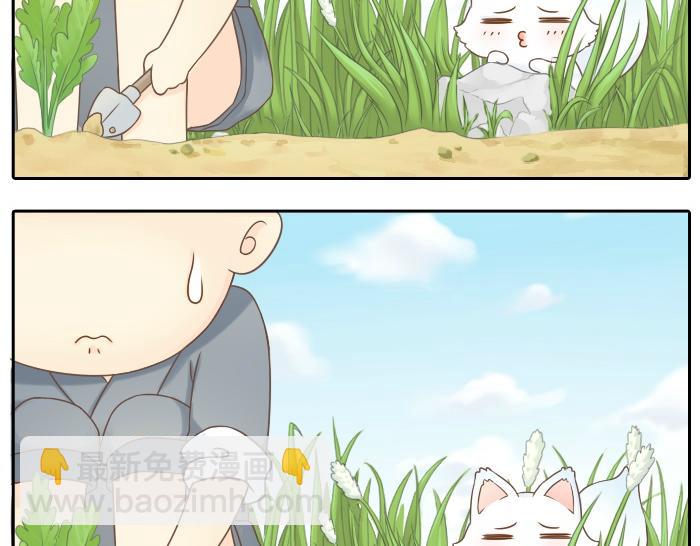 第2话 谁说狐狸不吃胡萝卜-第2话